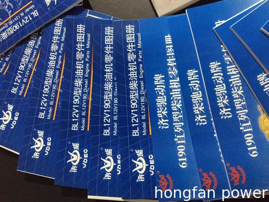 Co810f-3/22 Chidong Diesel Engine Parts Model G12V190zl-3