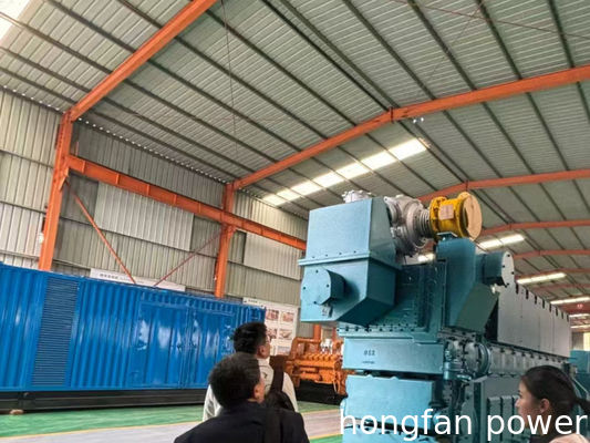 zichai 8300 gas generator spark plug S-R807BEX21-2 original parts fatcory manufacturer